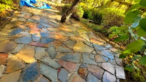 The Complete Guide to Choosing Paving Stones for Melbourne Properties